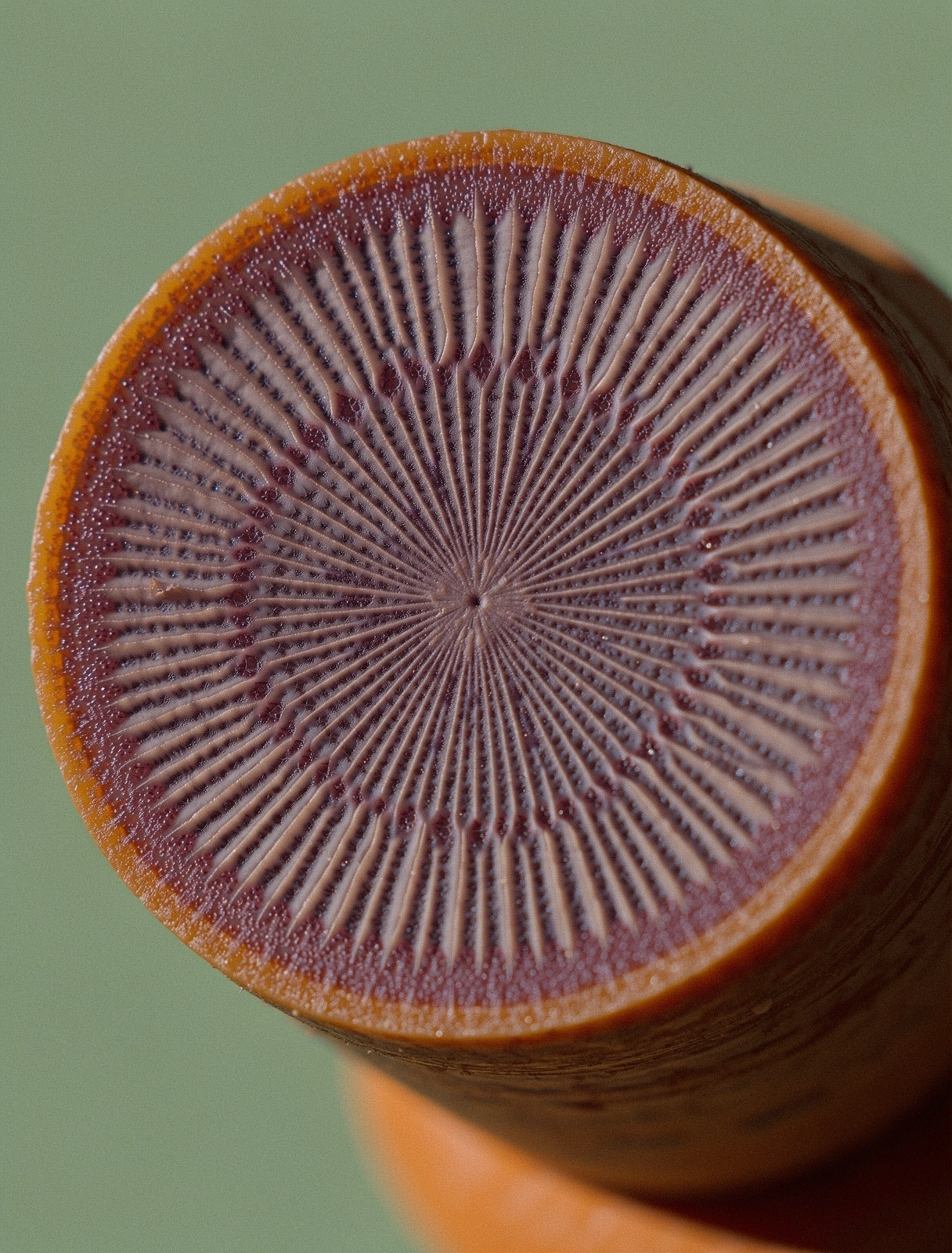 Textura naturală a ingredientelor integrale